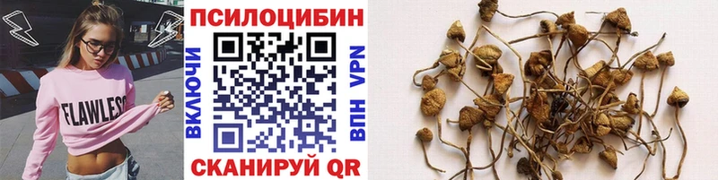 Галлюциногенные грибы Magic Shrooms  хочу   Абаза 